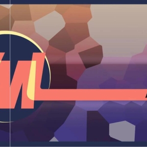 DEI 步向毁灭 威世智终止VML支持 魔法风云会多元化受冲击